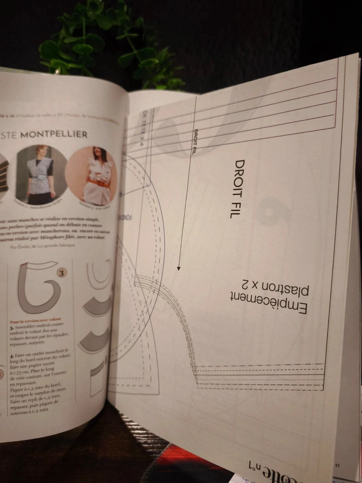 Cocotte – photo 3